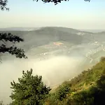 Weinstube Moselbluemchen زلتنغن راختخ