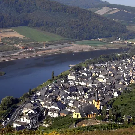 Weinstube Moselbluemchen 3* Zeltingen-Rachtig