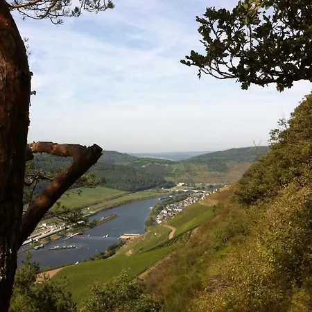 Weinstube Moselblümchen Pensión 3*