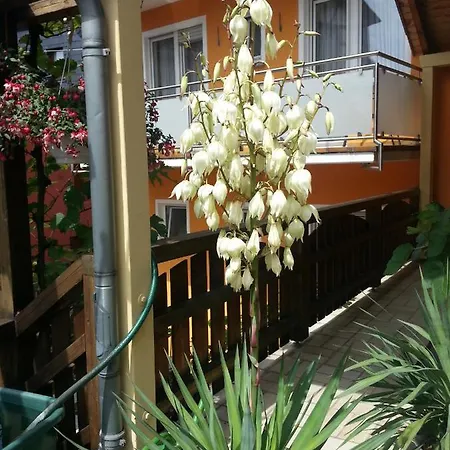 Pensión Weinstube Moselblümchen 3*