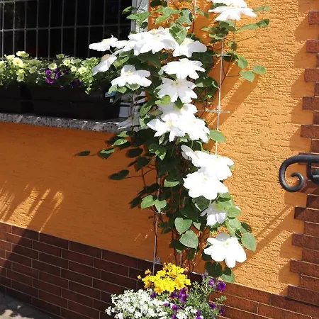 Weinstube Moselblümchen 3*