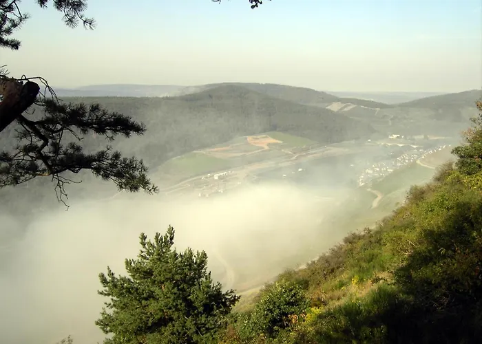 Weinstube Moselbluemchen זלטינגן-רכטינג