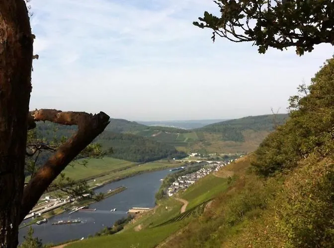 Weinstube Moselbluemchen בית הארחה 3*