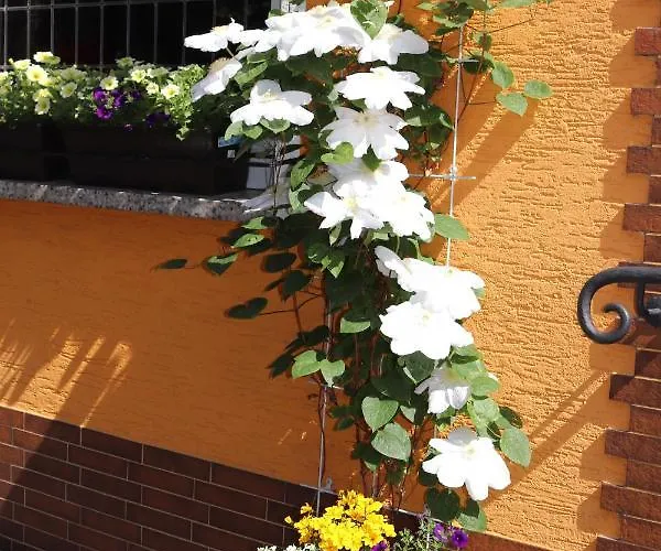 Weinstube Moselbluemchen 3*